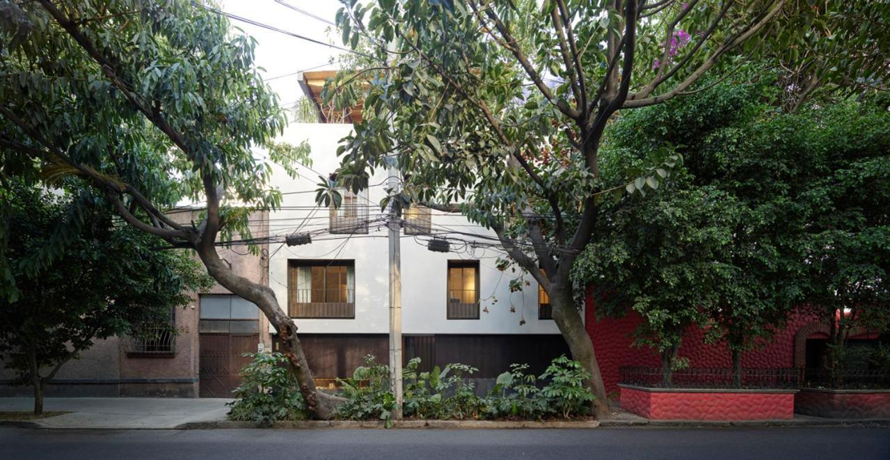 Hotel Dama Mexico City Exterior photo