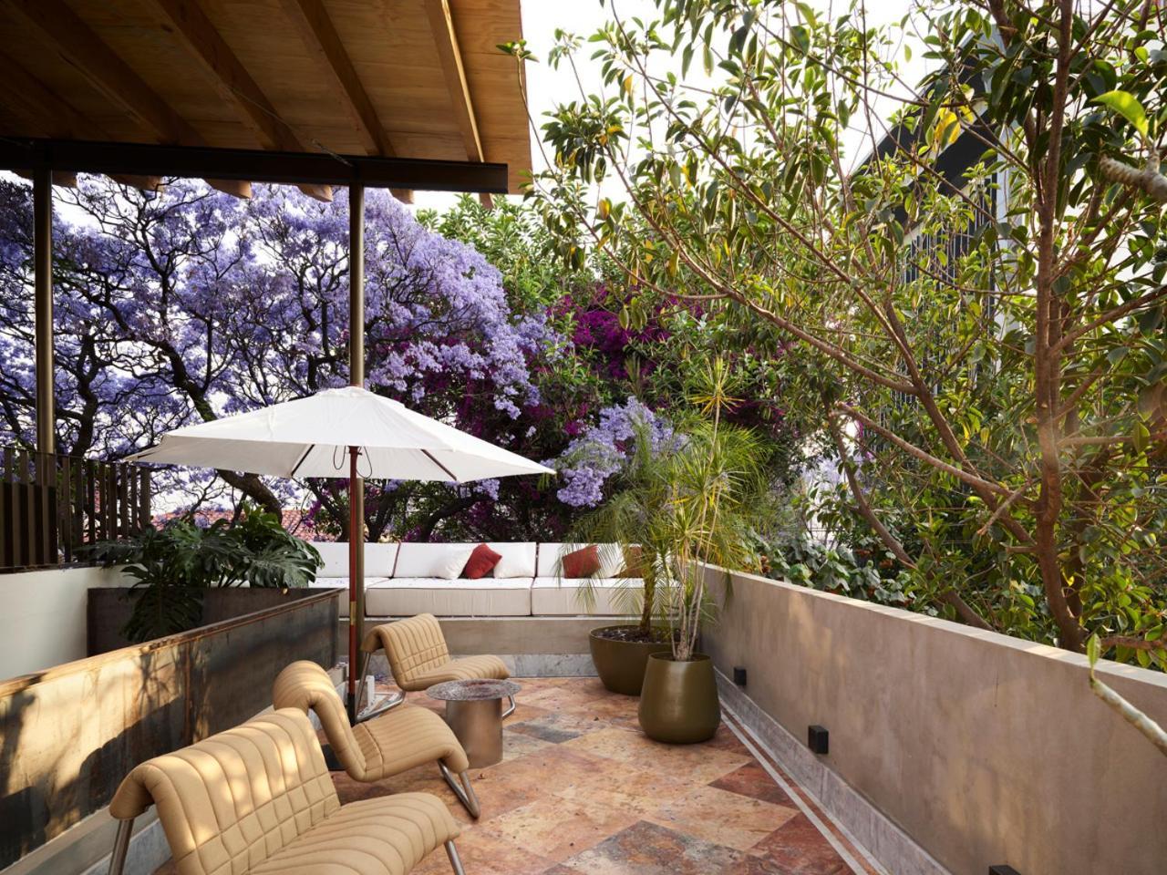 Hotel Dama Mexico City Exterior photo