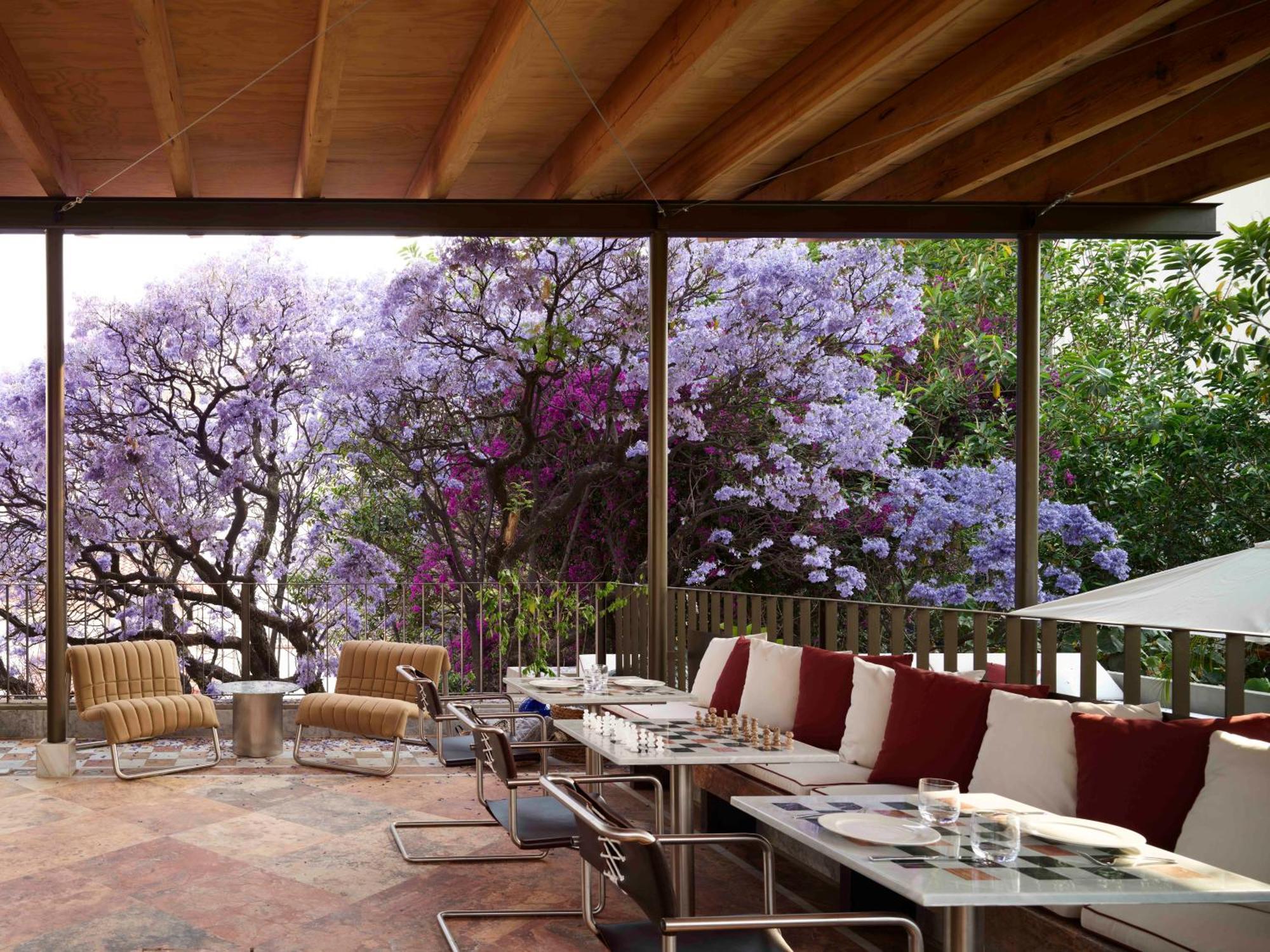 Hotel Dama Mexico City Exterior photo